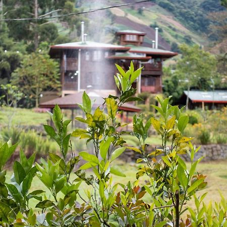 Los Quetzales Ecolodge & Spa Cerro Punta Exterior photo