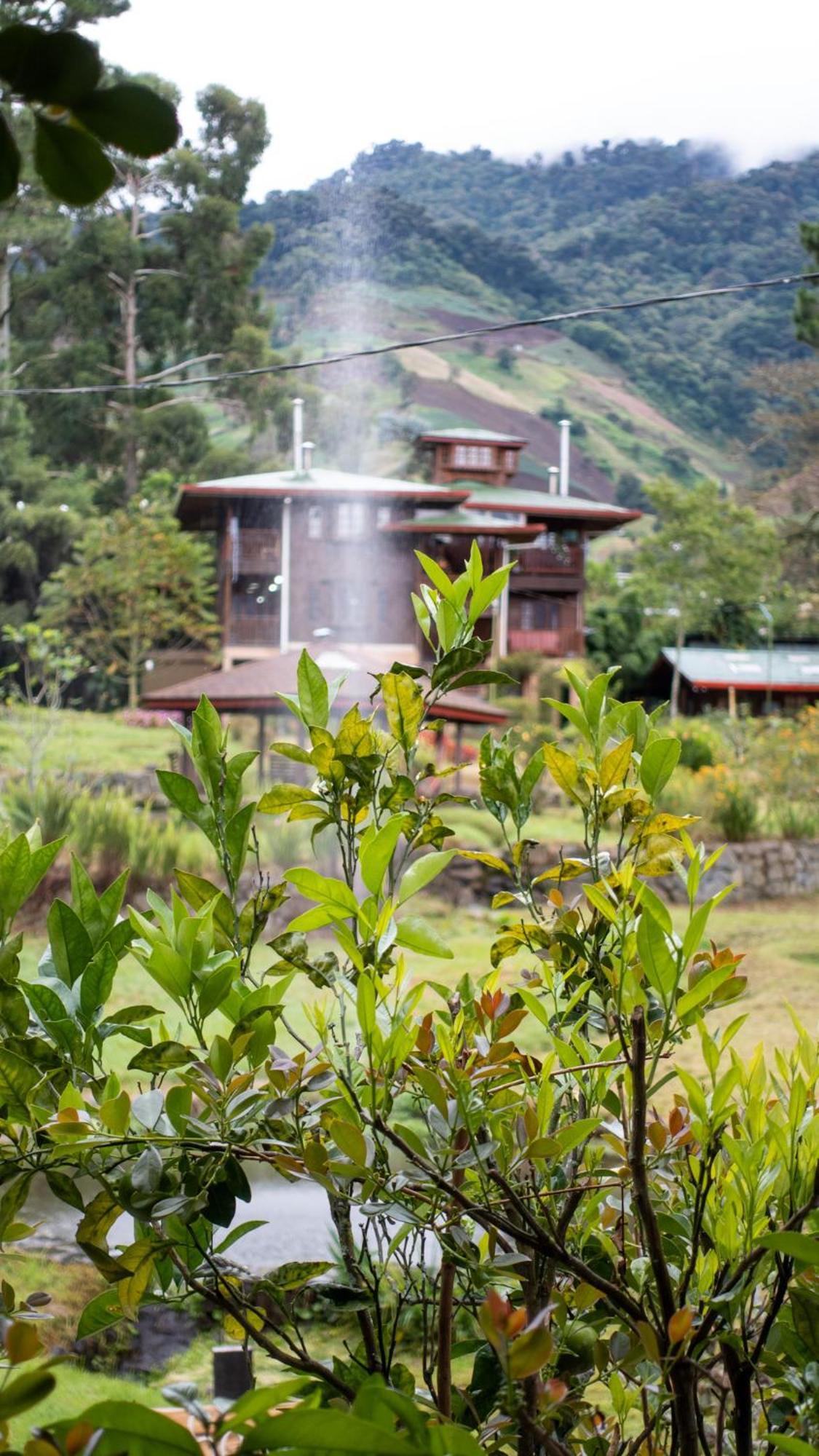 Los Quetzales Ecolodge & Spa Cerro Punta Exterior photo